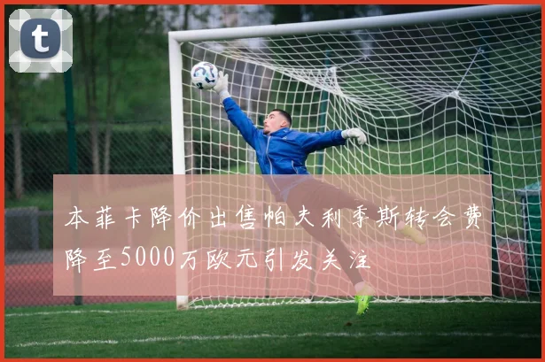 本菲卡降价出售帕夫利季斯转会费降至5000万欧元引发关注