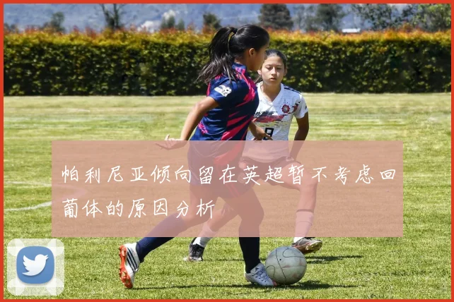 帕利尼亚倾向留在英超暂不考虑回葡体的原因分析