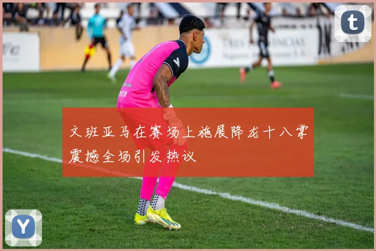 文班亚马在赛场上施展降龙十八掌震撼全场引发热议